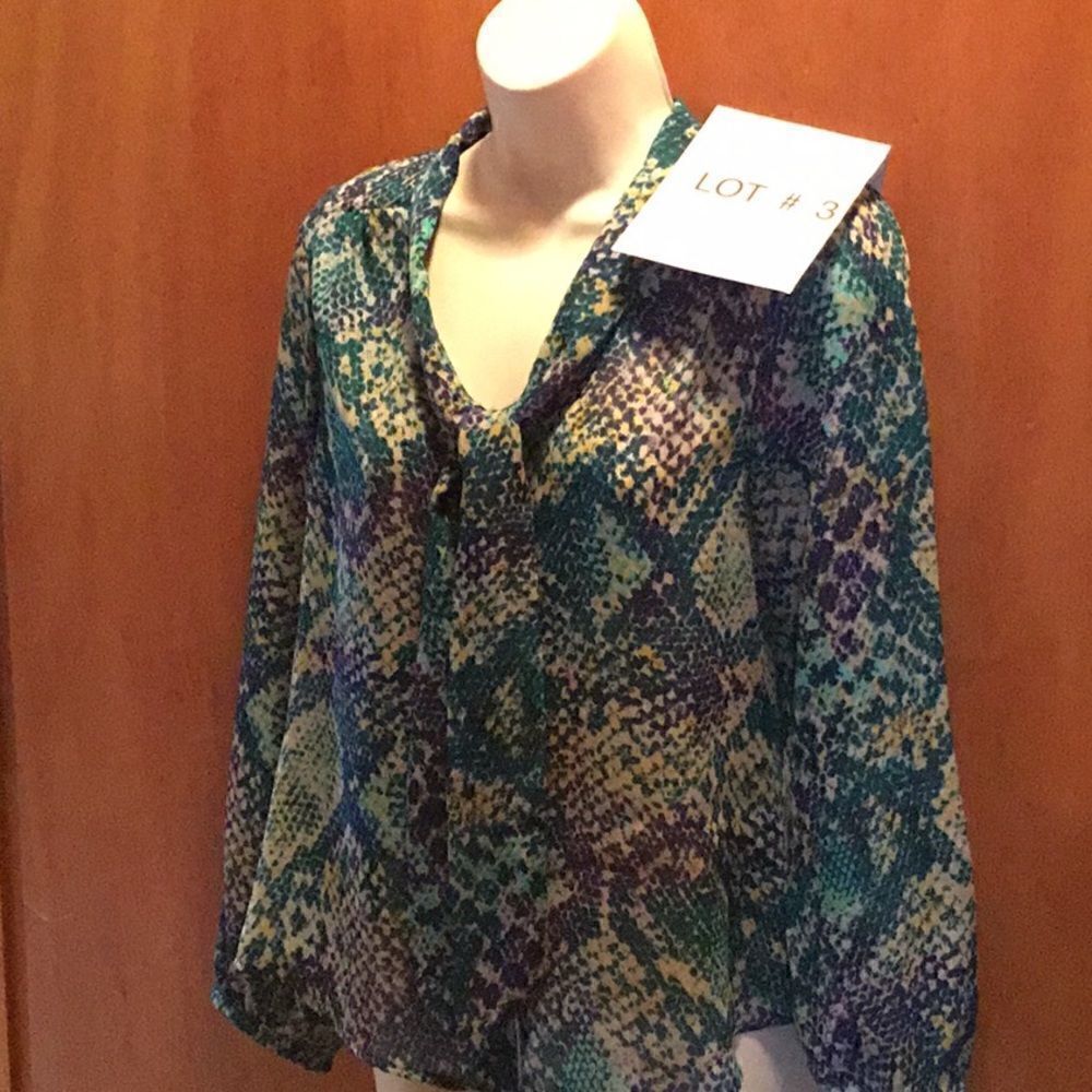 Ladies long sleeve sheer career top in size small